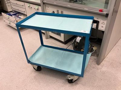 Overview picture of Transport trolley